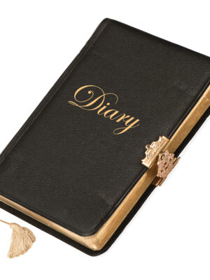 Diary 100 pages