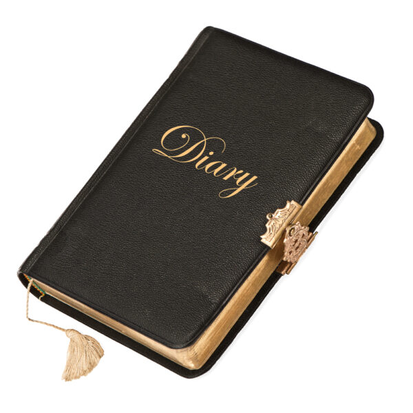 Diary 100 pages